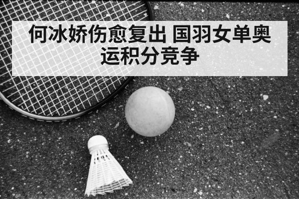 何冰娇伤愈复出 国羽女单奥运积分竞争