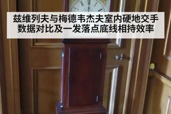 兹维列夫与梅德韦杰夫室内硬地交手数据对比及一发落点底线相持效率