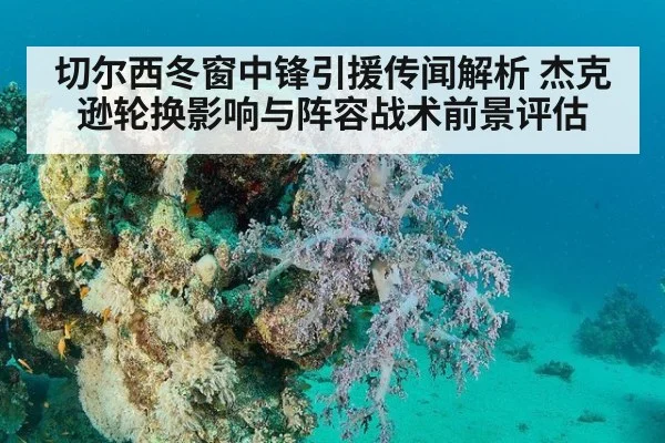 切尔西冬窗中锋引援传闻解析 杰克逊轮换影响与阵容战术前景评估